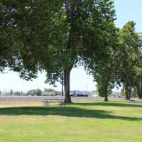 Lewis Street Park