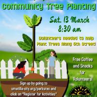 Community Tree Planting along 6th St.