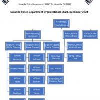 Organizational Chart