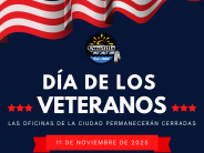 Veterans (SPANISH)