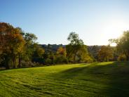 Nugent Park