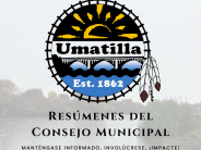 City Council Recap 2025 (SPANISH)