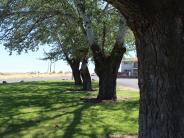 Bus Stop Park 2