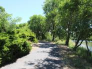 Nugent Park 19