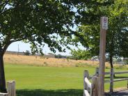 3rd Street Soccer Field 10