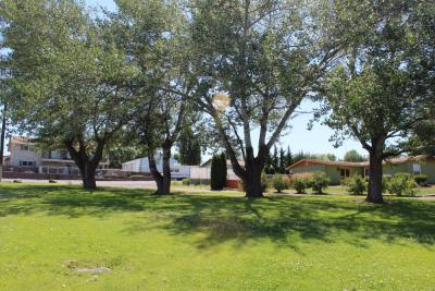 Bus Stop Park