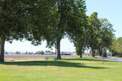 Lewis Street Park