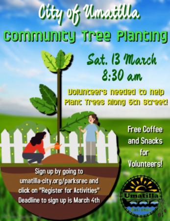 Community Tree Planting along 6th St.