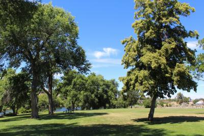 PW Park